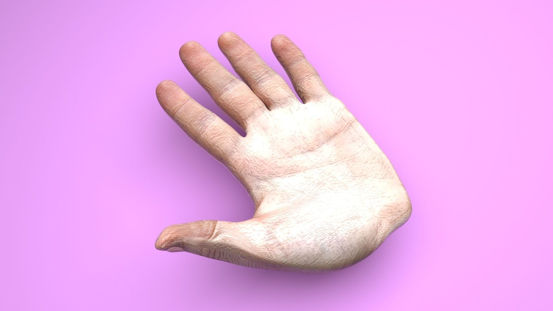 Human Hands 3D model_22