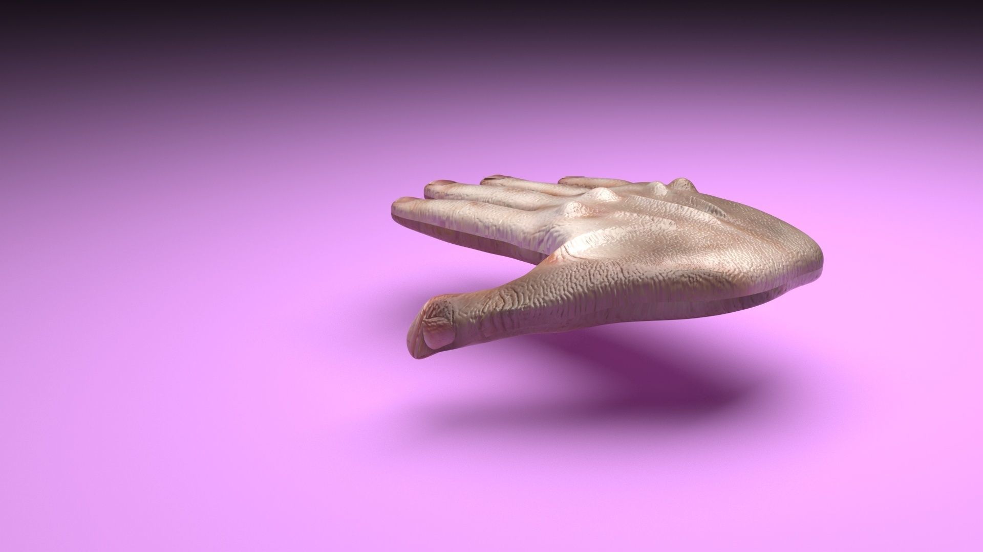 Human Hands 3D model_24