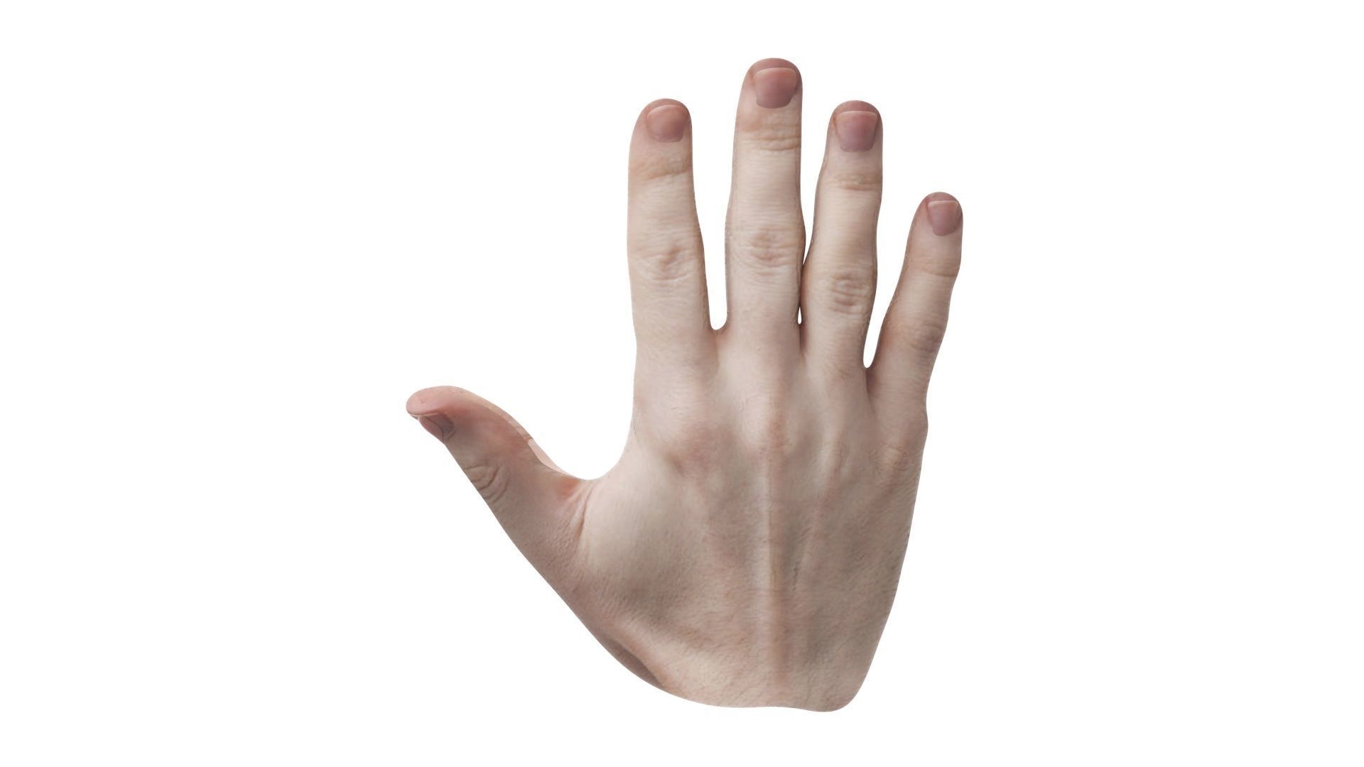 Human Hands 3D model_8