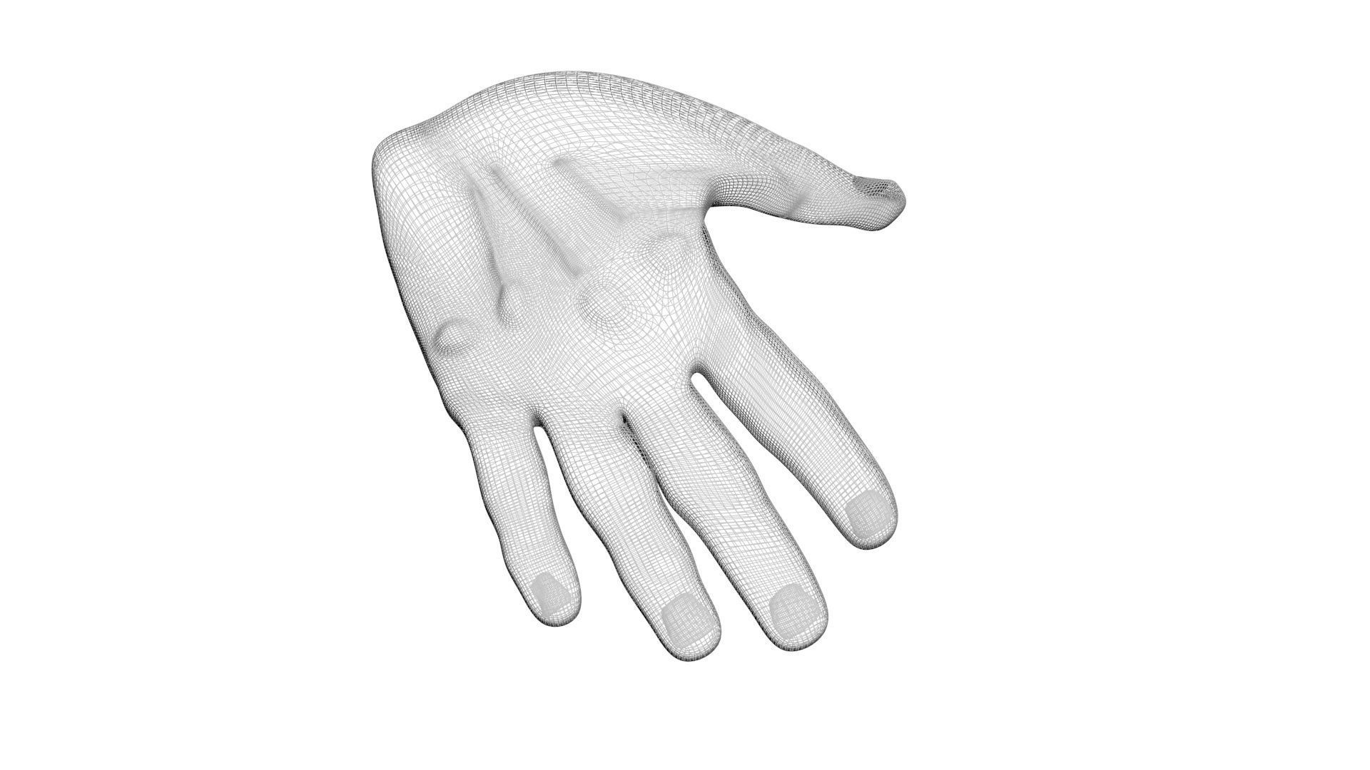Human Hands 3D model_12