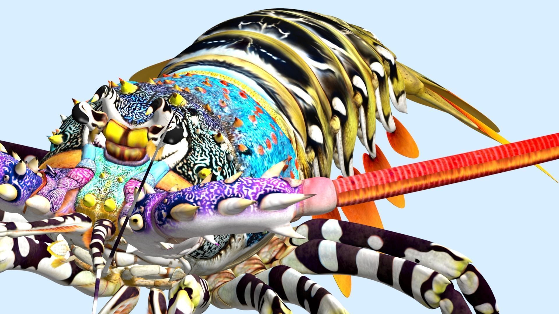 Ornate spiny lobster 3D model_20