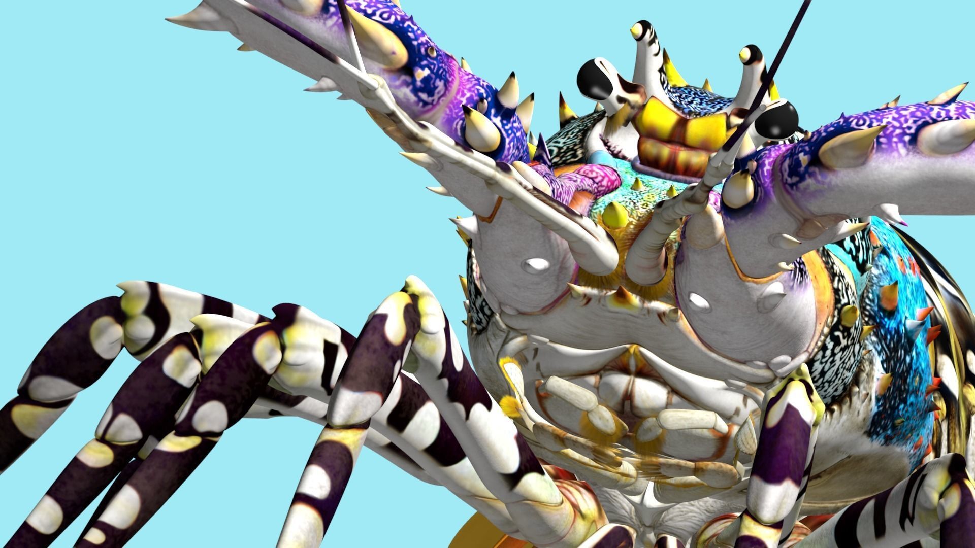 Ornate spiny lobster 3D model_12