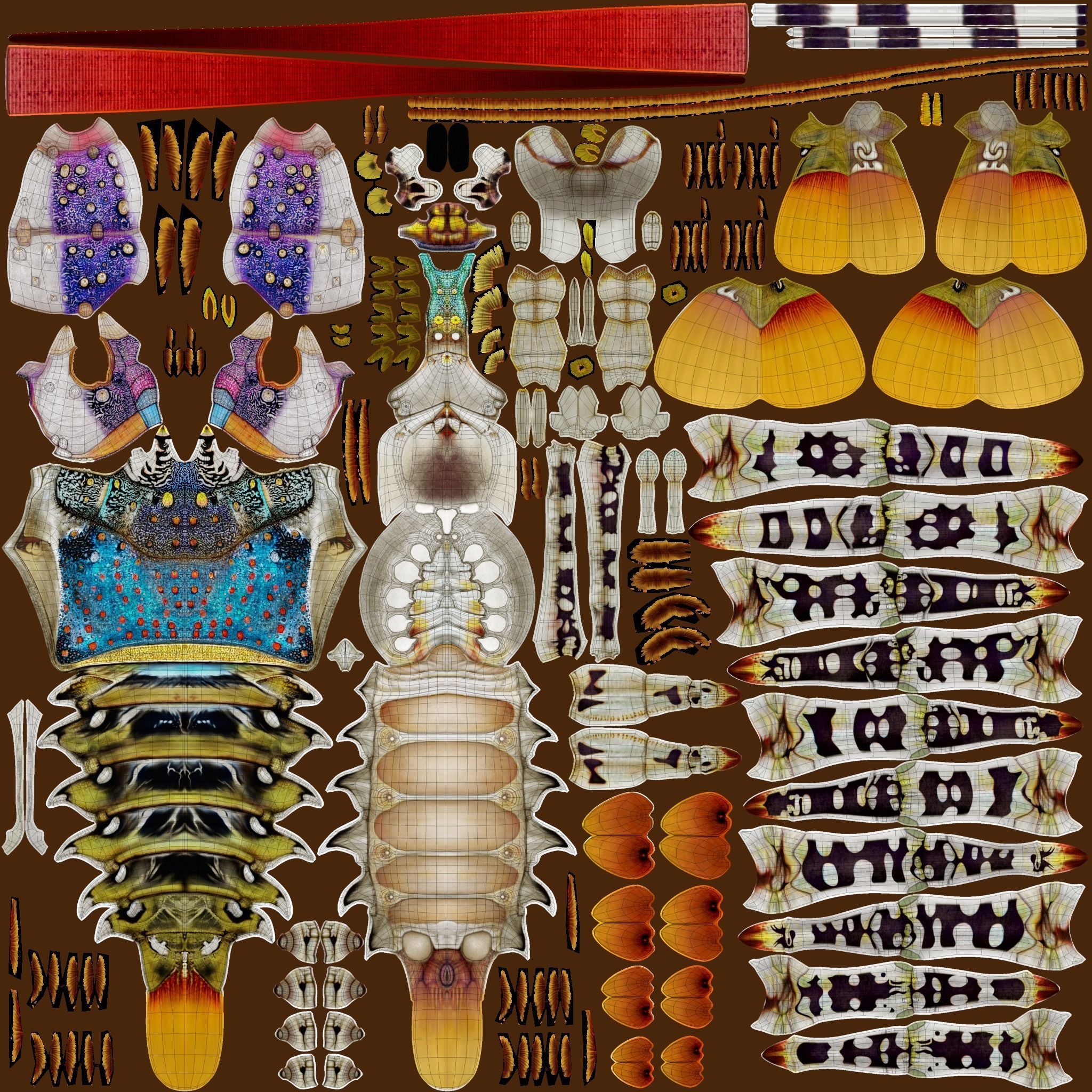 Ornate spiny lobster 3D model_35