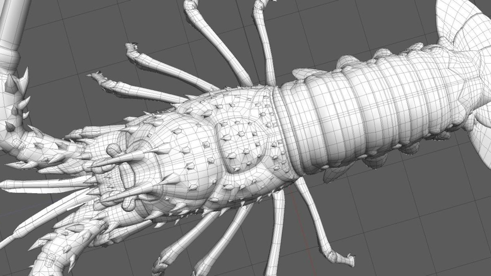 Ornate spiny lobster 3D model_34