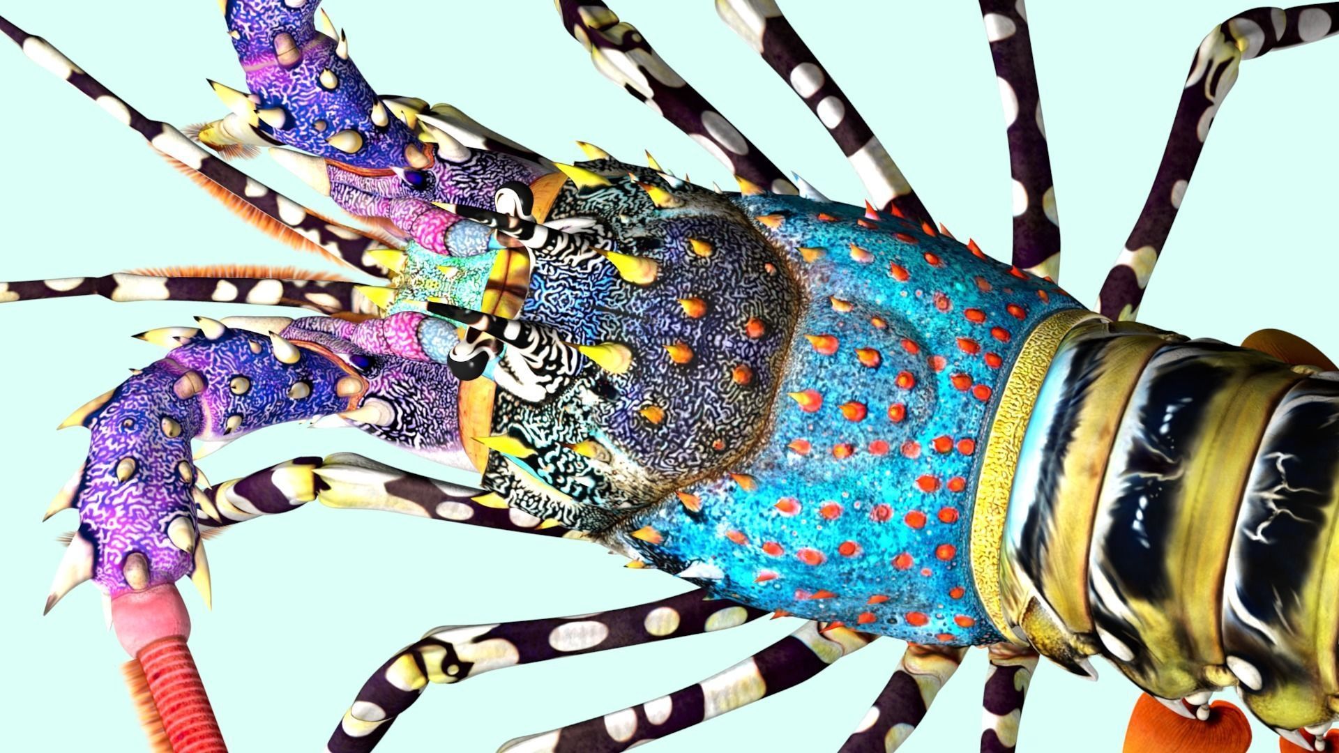 Ornate spiny lobster 3D model_22