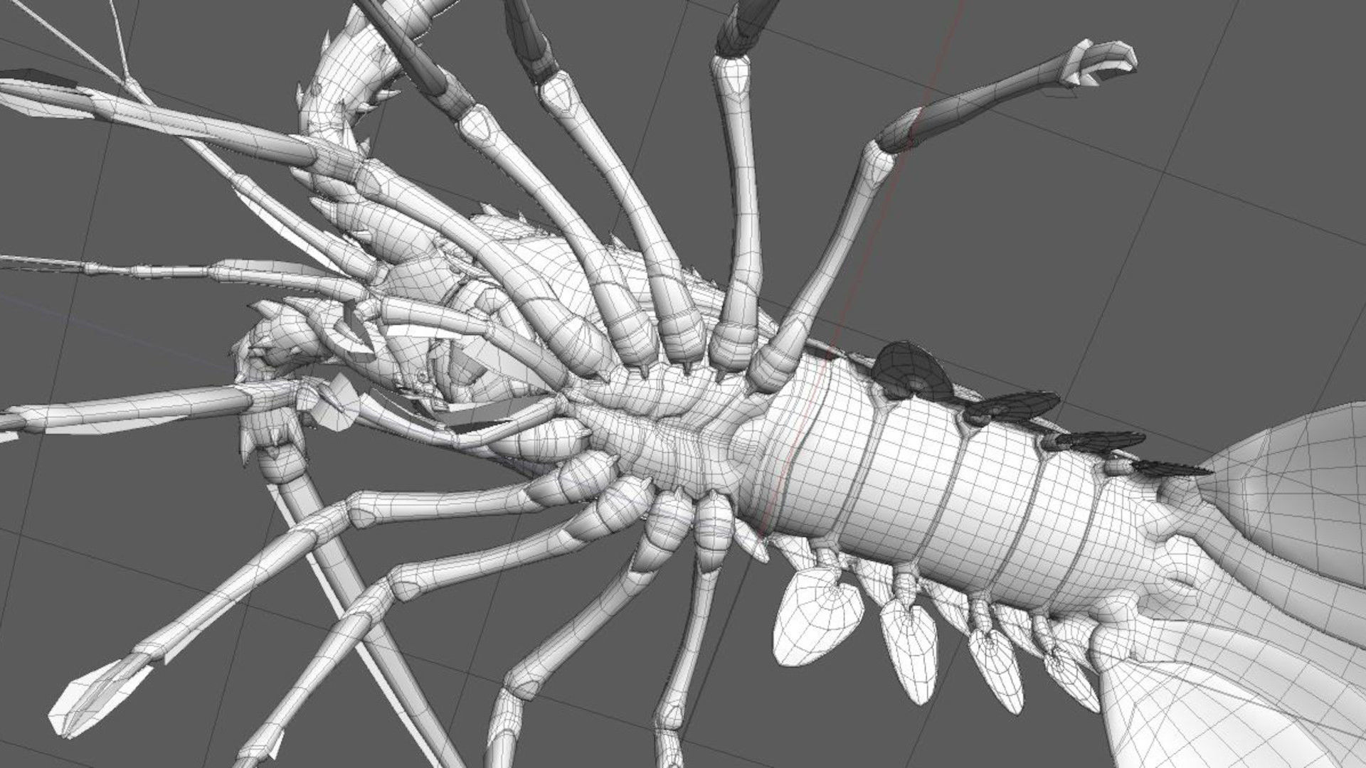 Ornate spiny lobster 3D model_33