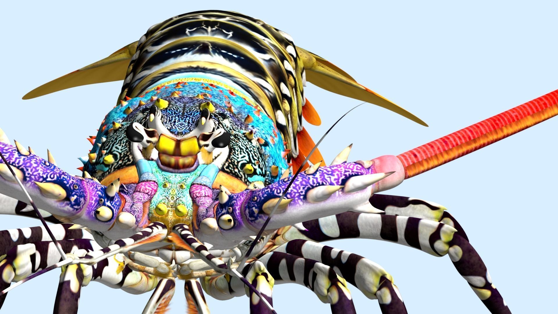 Ornate spiny lobster 3D model_21