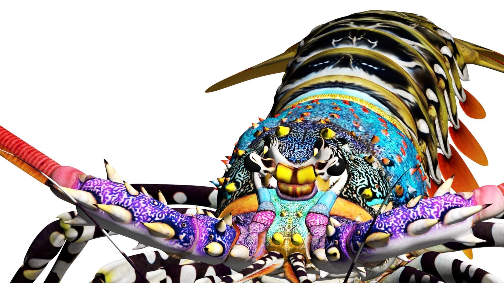 Ornate spiny lobster 3D model_29