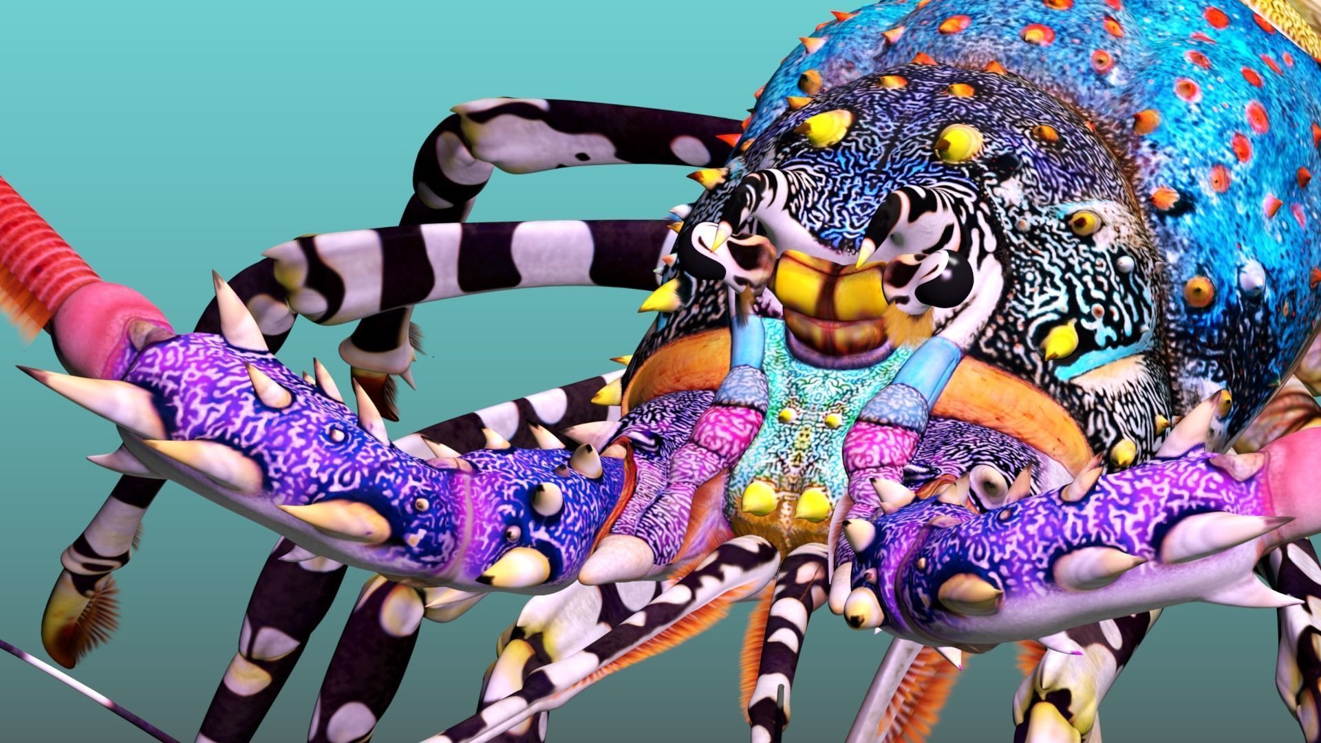 Ornate spiny lobster 3D model_23