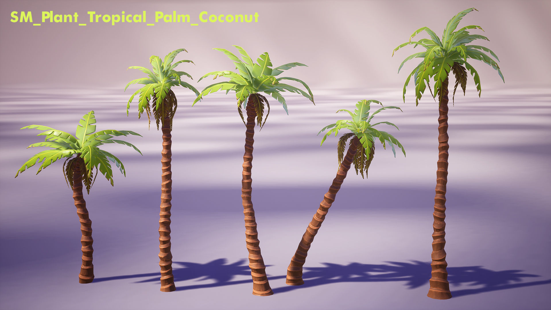 Tropical Plants Pack Low-poly 3D model_8