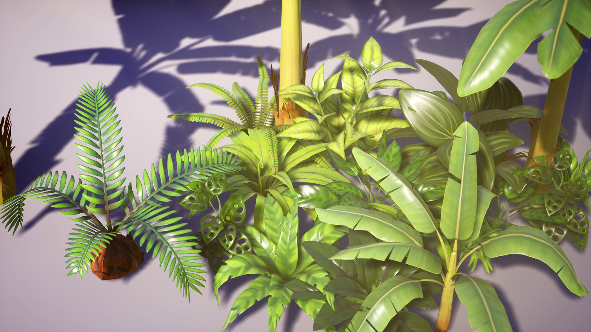 Tropical Plants Pack Low-poly 3D model_24