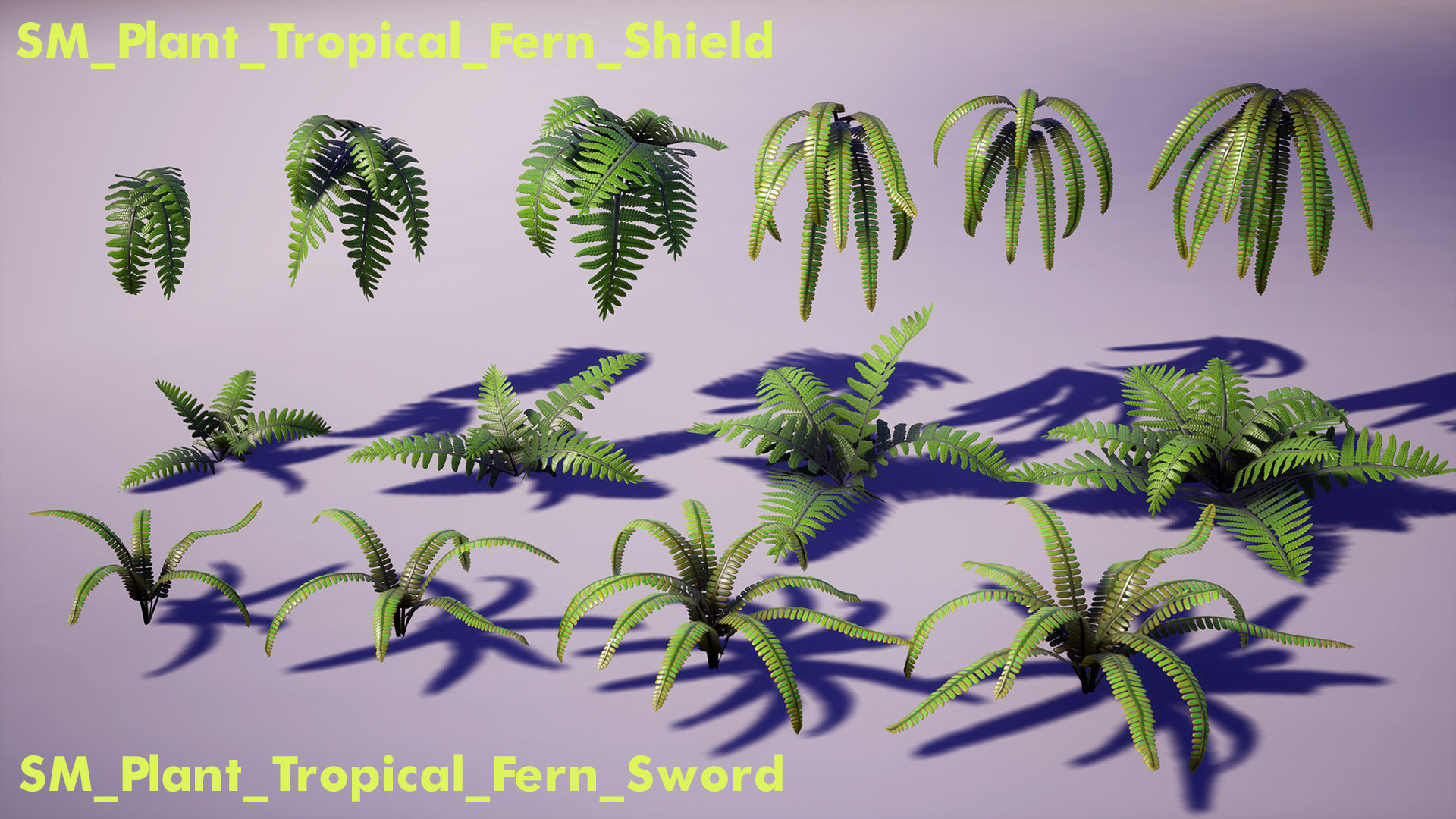 Tropical Plants Pack Low-poly 3D model_18