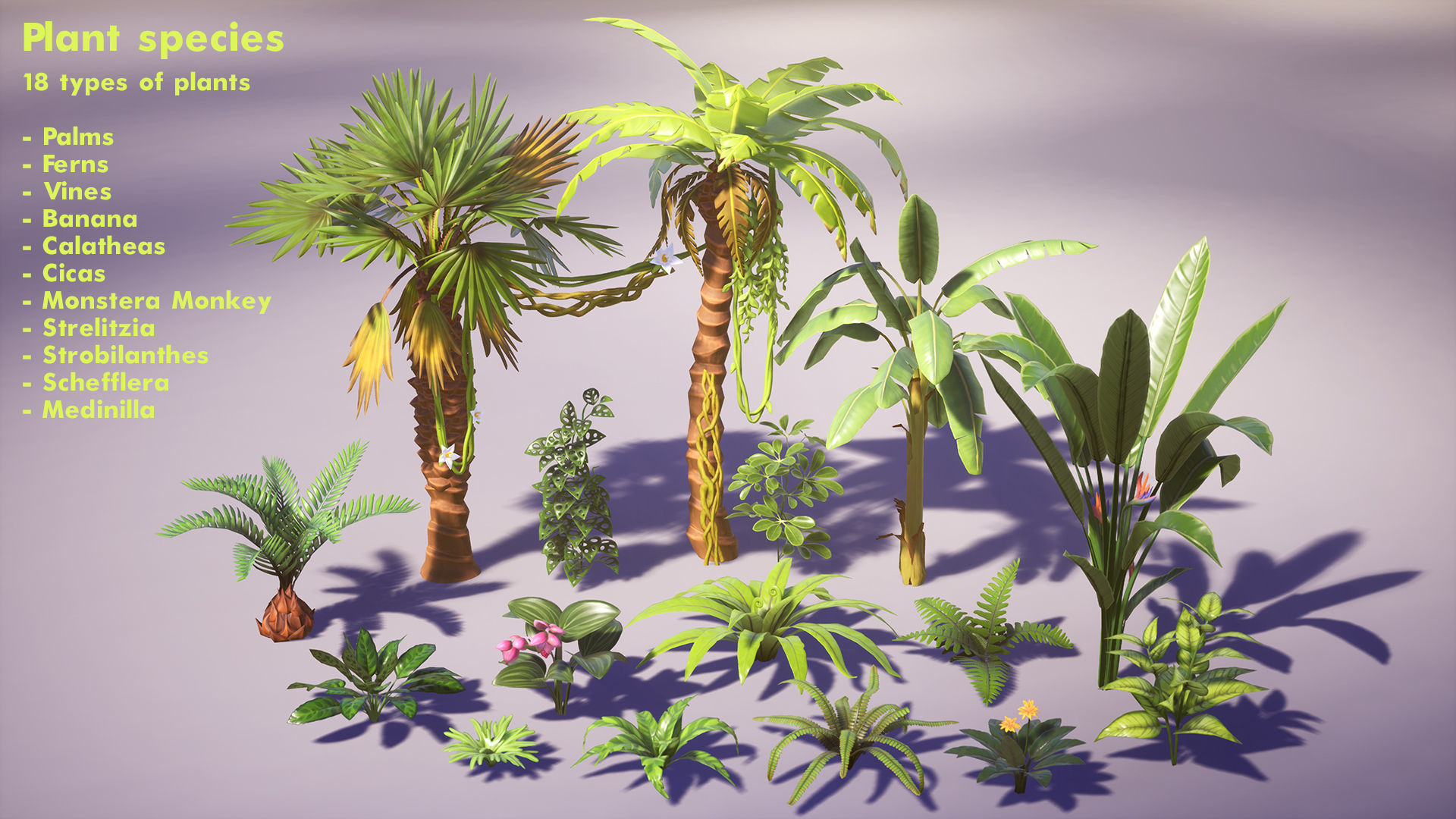 Tropical Plants Pack Low-poly 3D model_3