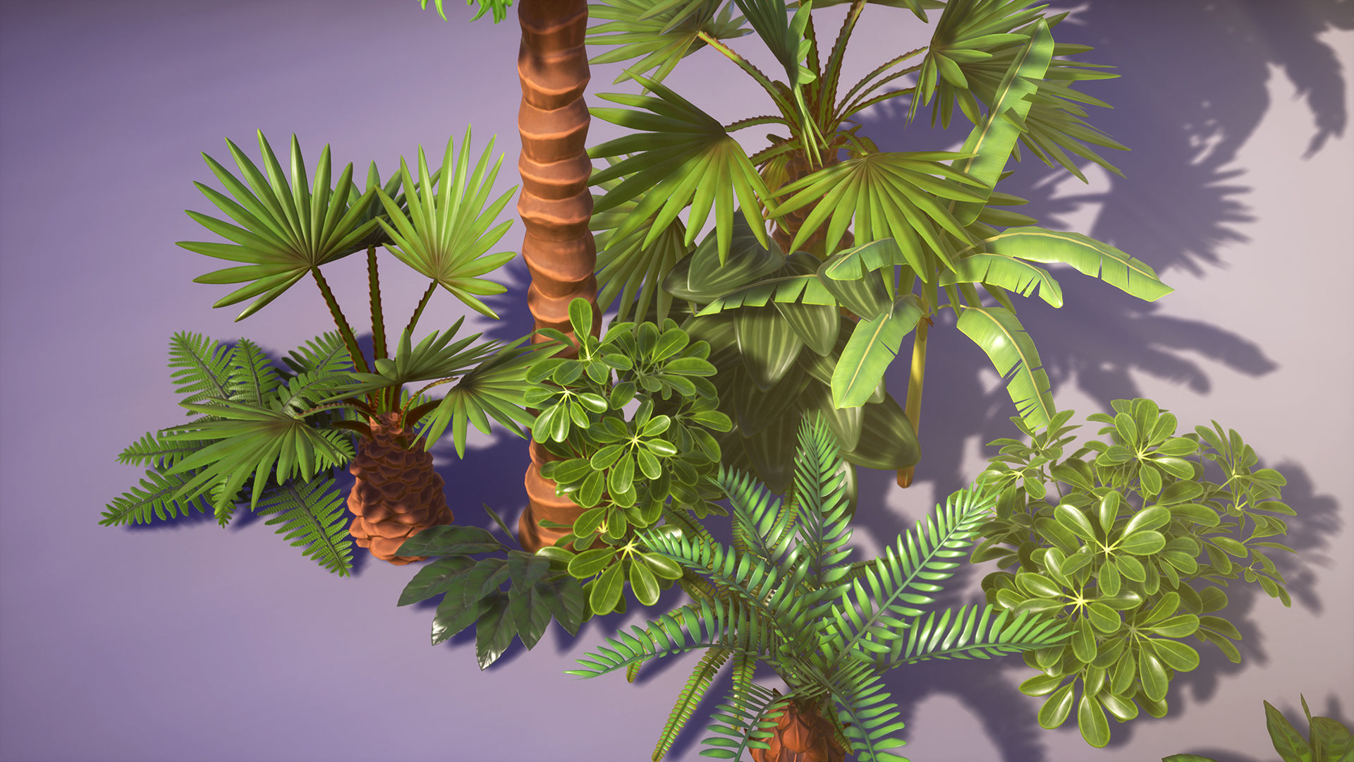Tropical Plants Pack Low-poly 3D model_23