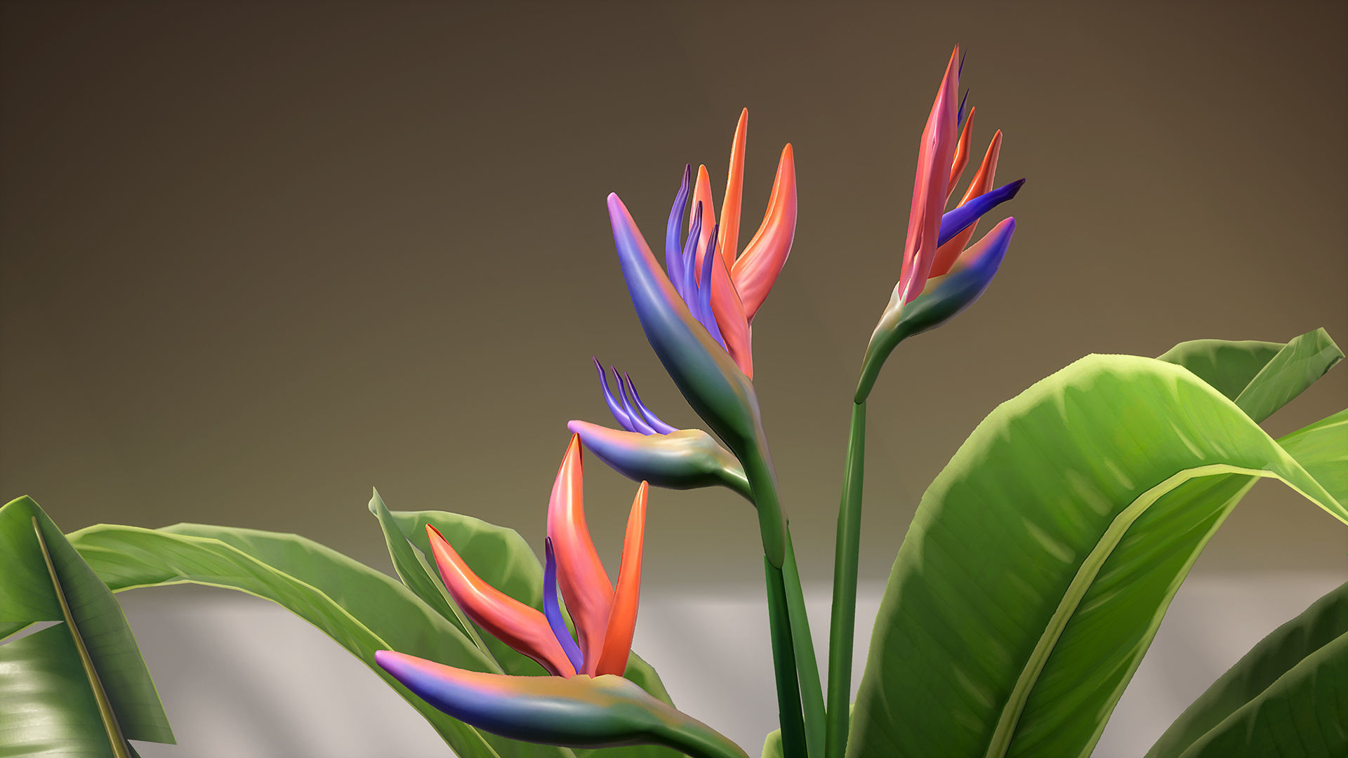 Tropical Plants Pack Low-poly 3D model_22