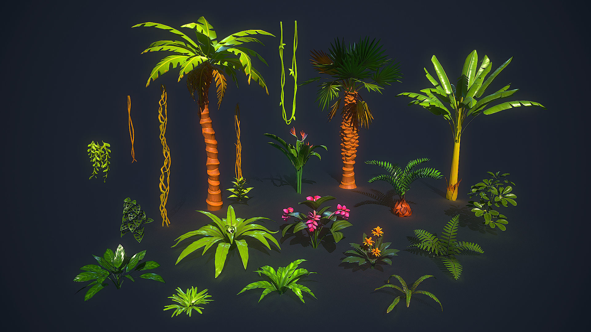 Tropical Plants Pack Low-poly 3D model_28