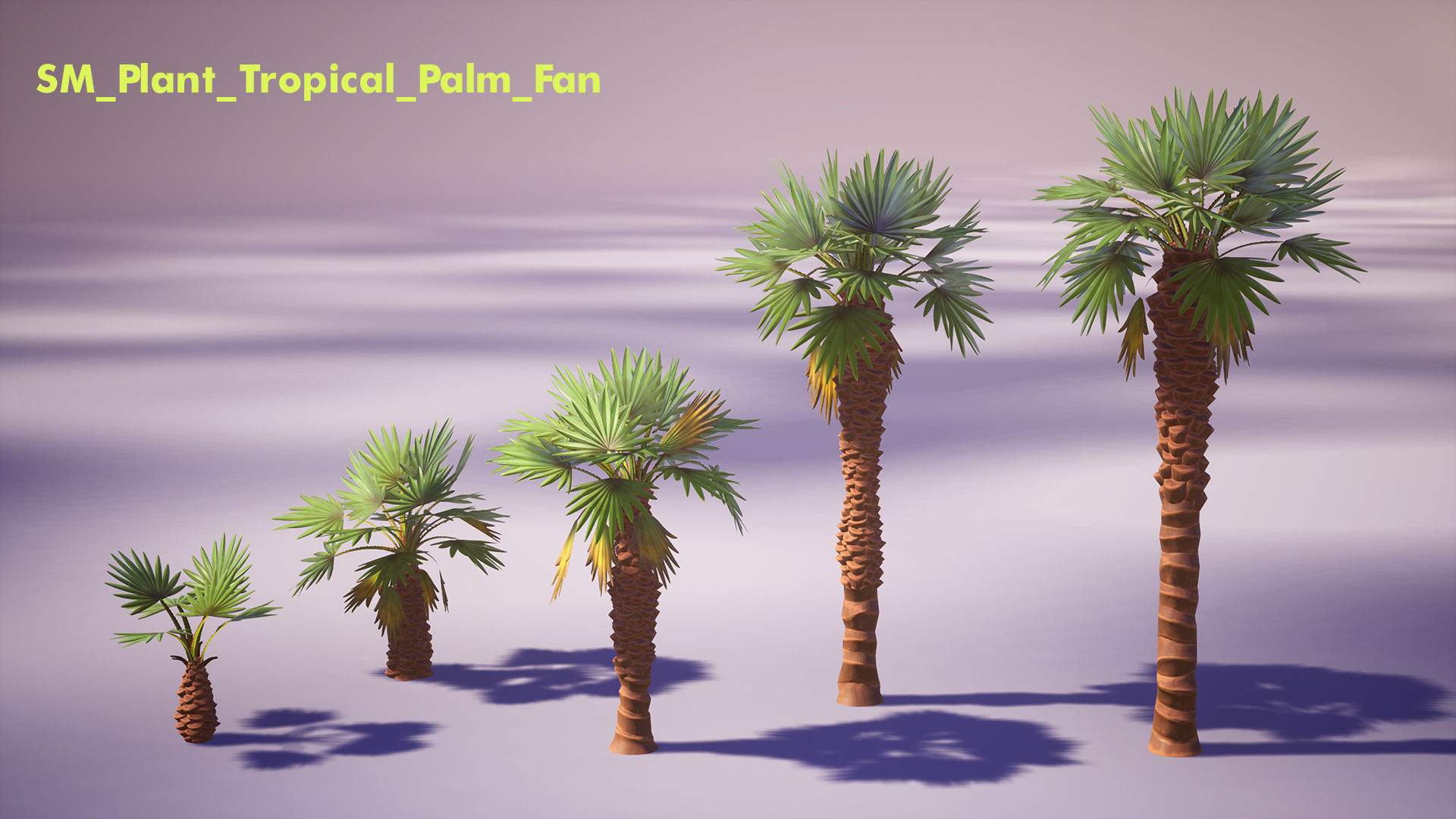 Tropical Plants Pack Low-poly 3D model_9
