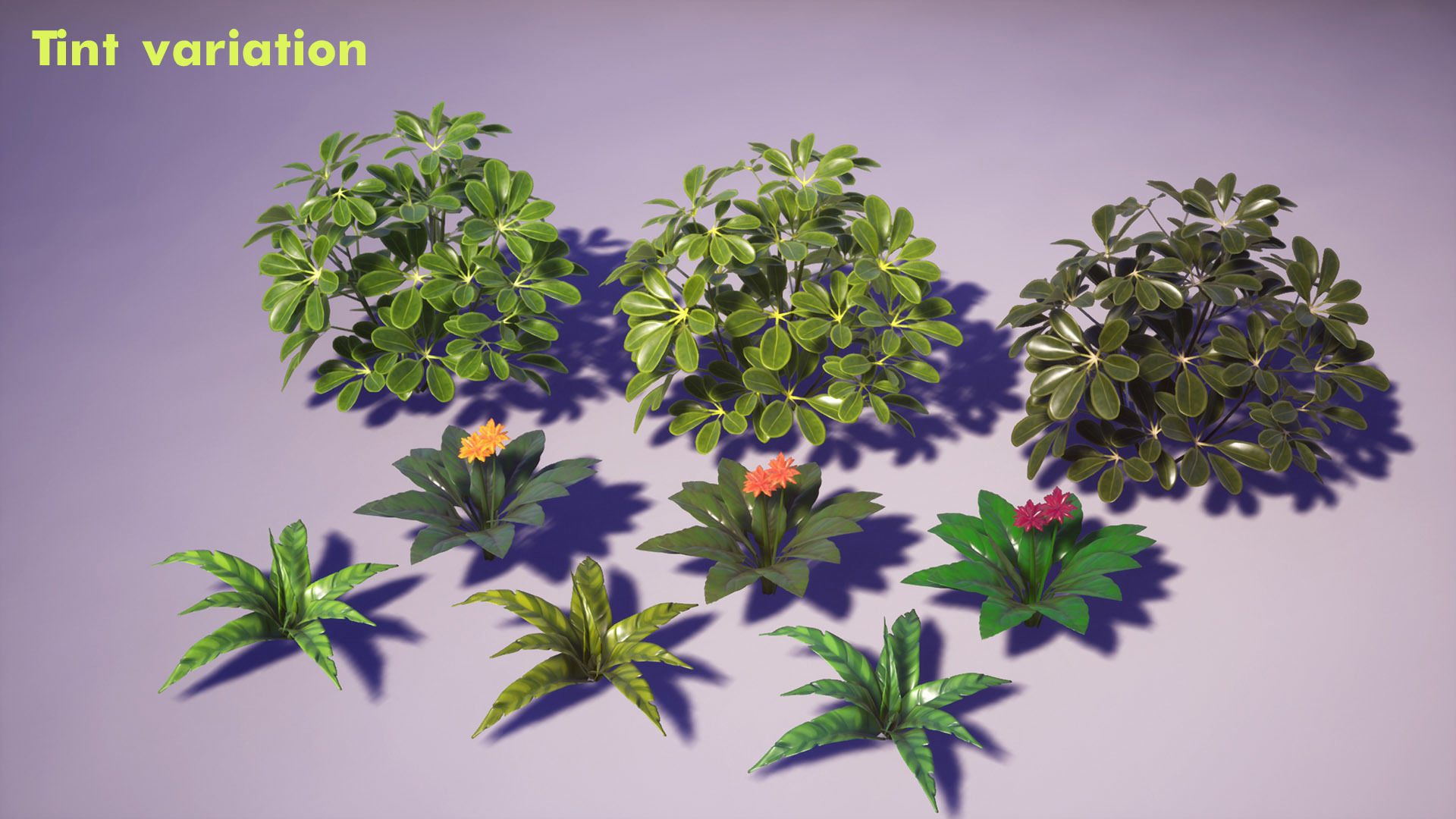 Tropical Plants Pack Low-poly 3D model_19