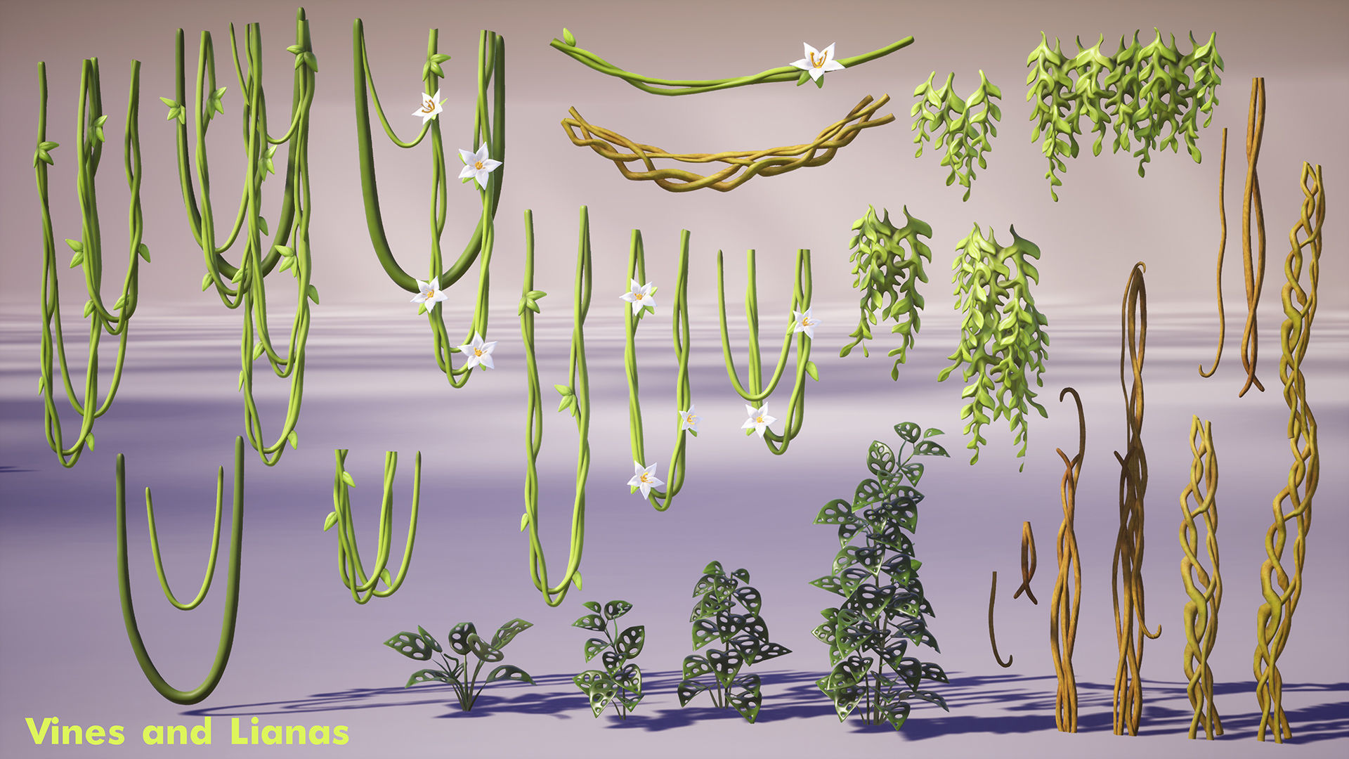 Tropical Plants Pack Low-poly 3D model_12