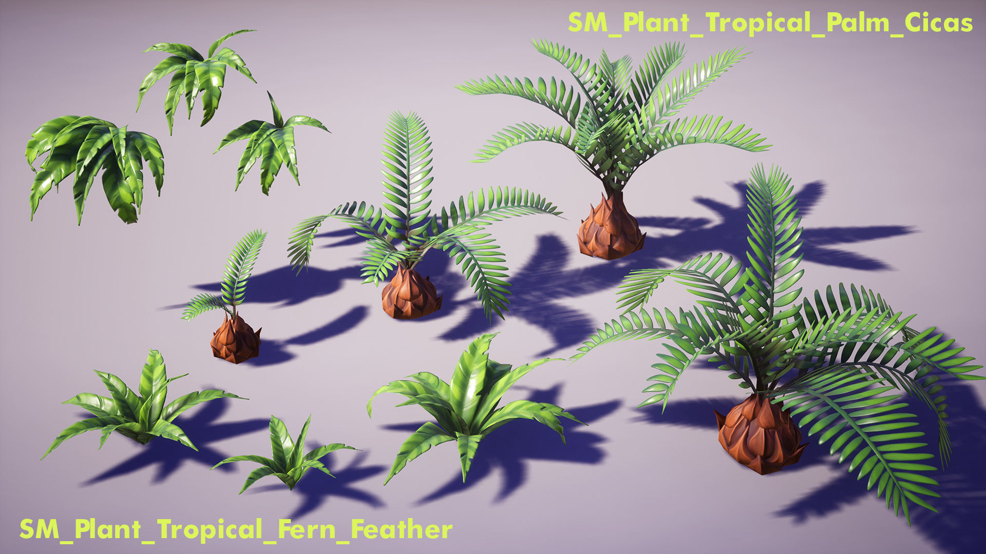Tropical Plants Pack Low-poly 3D model_13