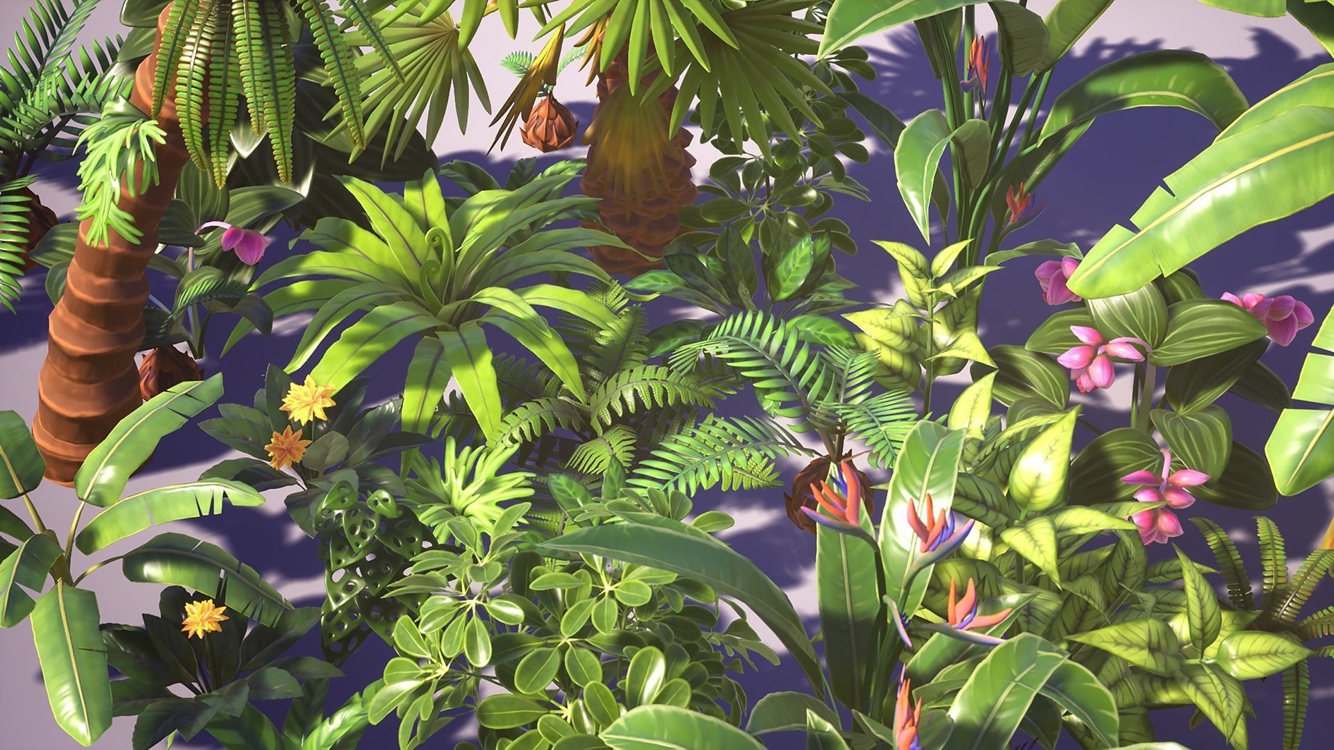 Tropical Plants Pack Low-poly 3D model_26