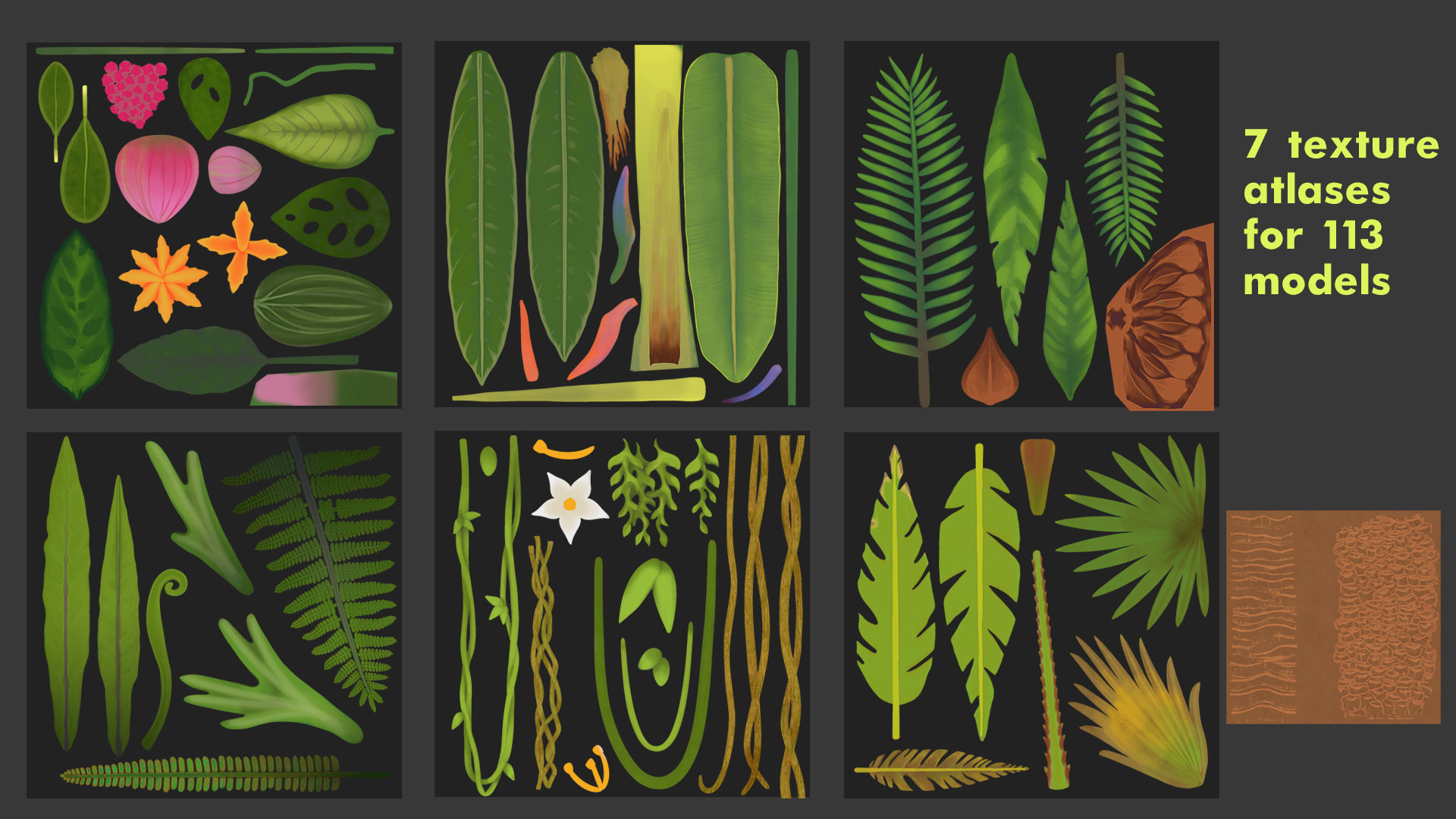 Tropical Plants Pack Low-poly 3D model_30