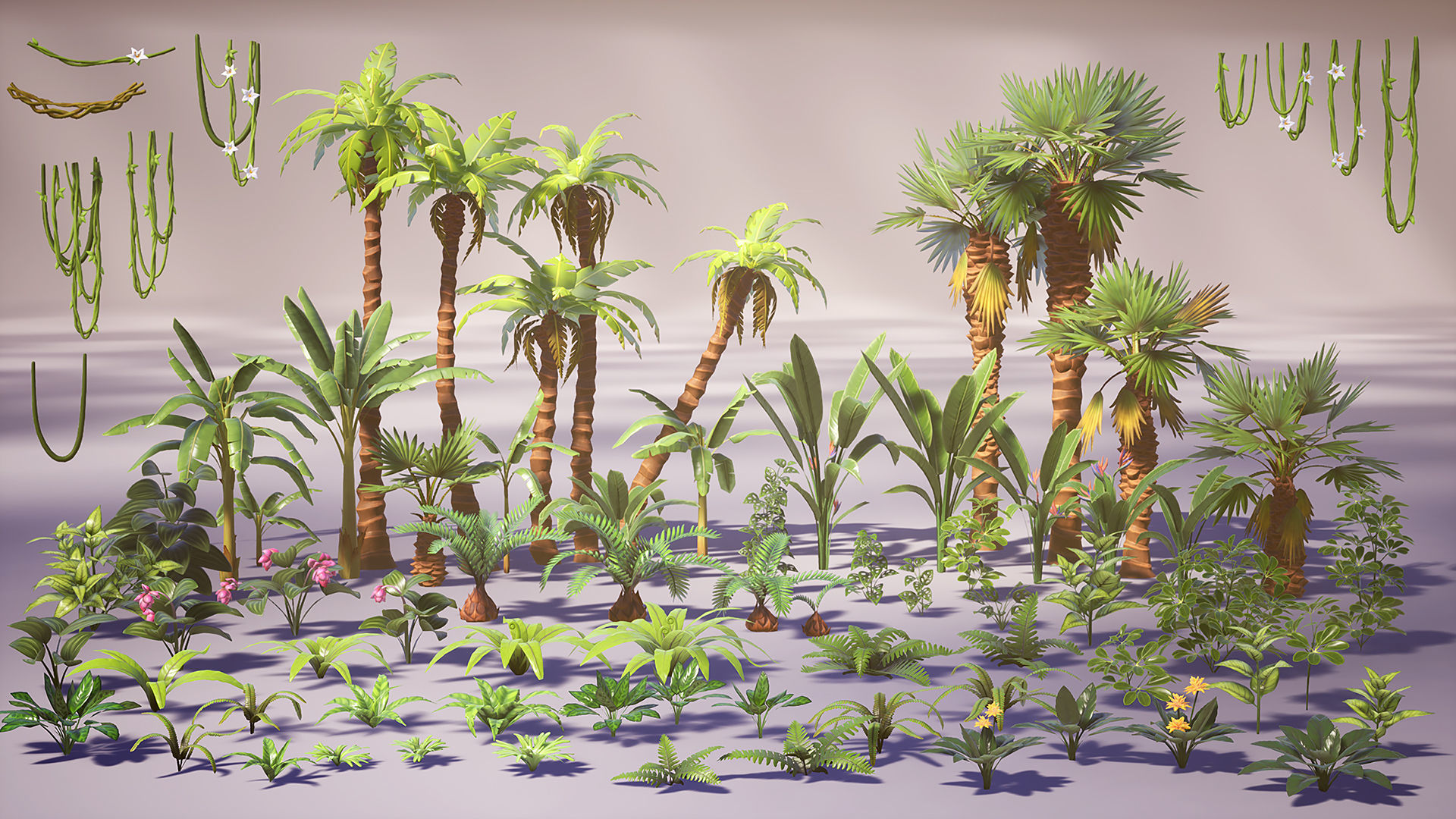 Tropical Plants Pack Low-poly 3D model_7