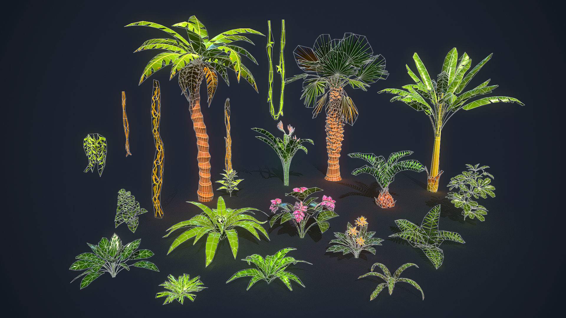 Tropical Plants Pack Low-poly 3D model_29