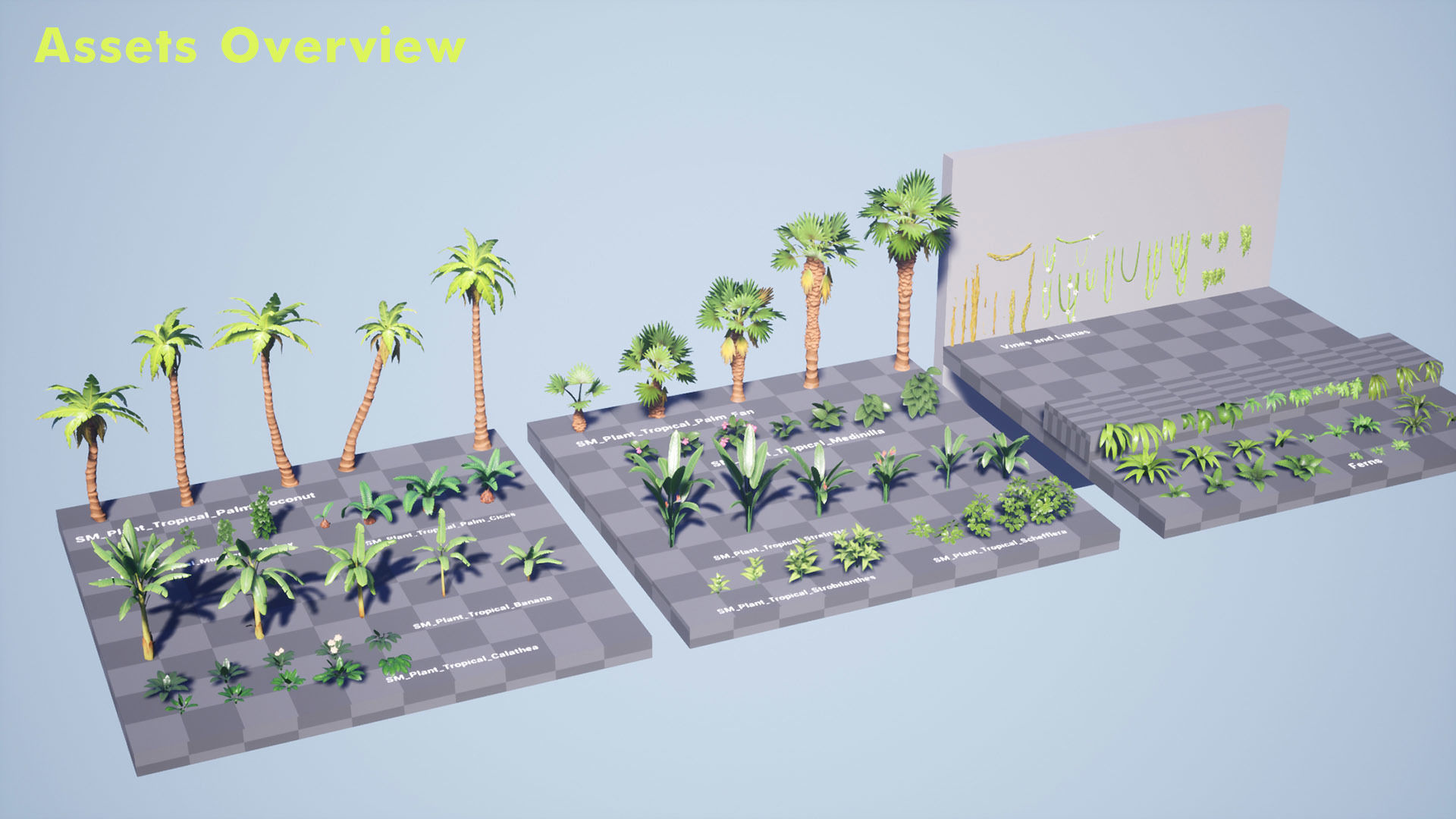 Tropical Plants Pack Low-poly 3D model_27