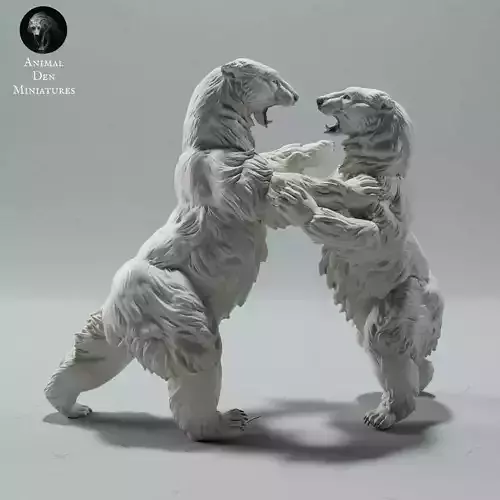 Polar Bears Fight