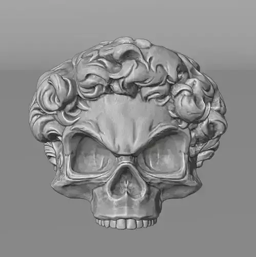 skull head