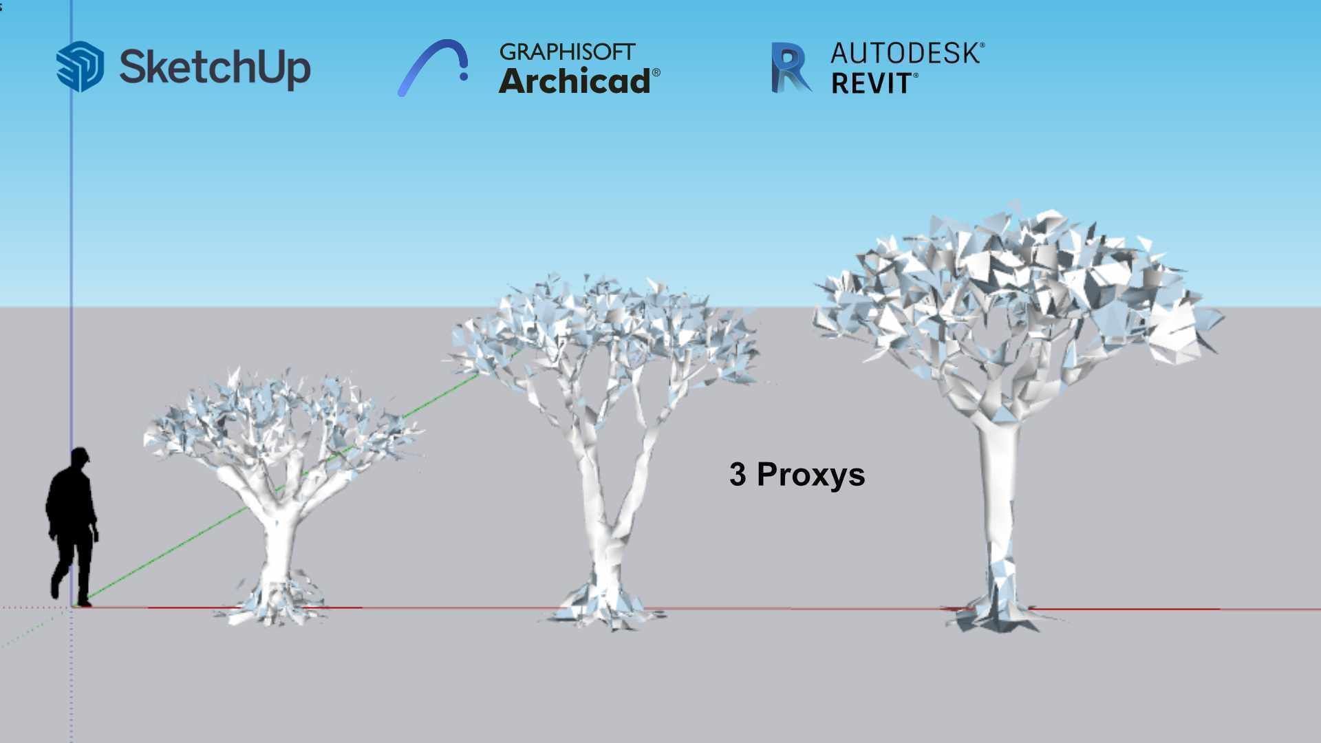 Dracaena draco 3D model_1