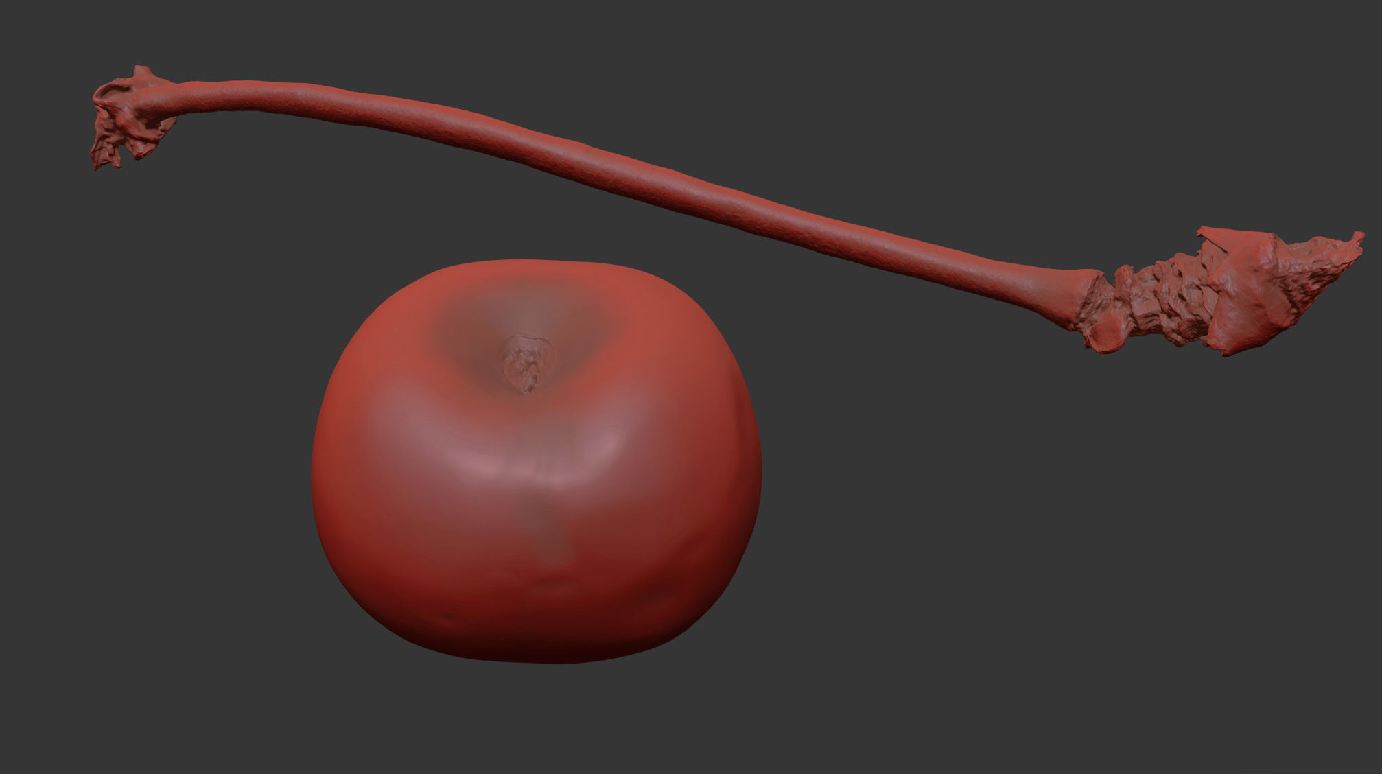 Cherry 3D model_7