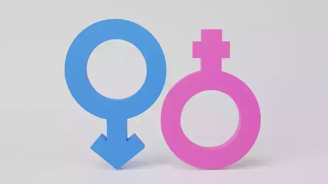 Male and Female Symbol Low-poly 3D model