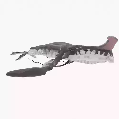 Tulkun from Avatar Rigged 3D Model Low-poly 3D model