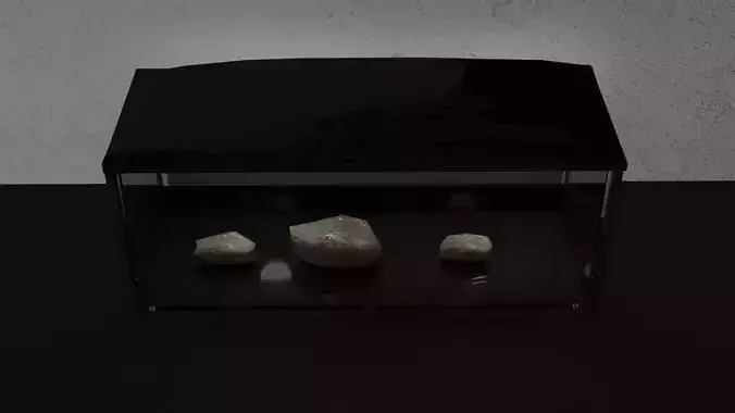 acquario vetro    glass aquarium 3D model