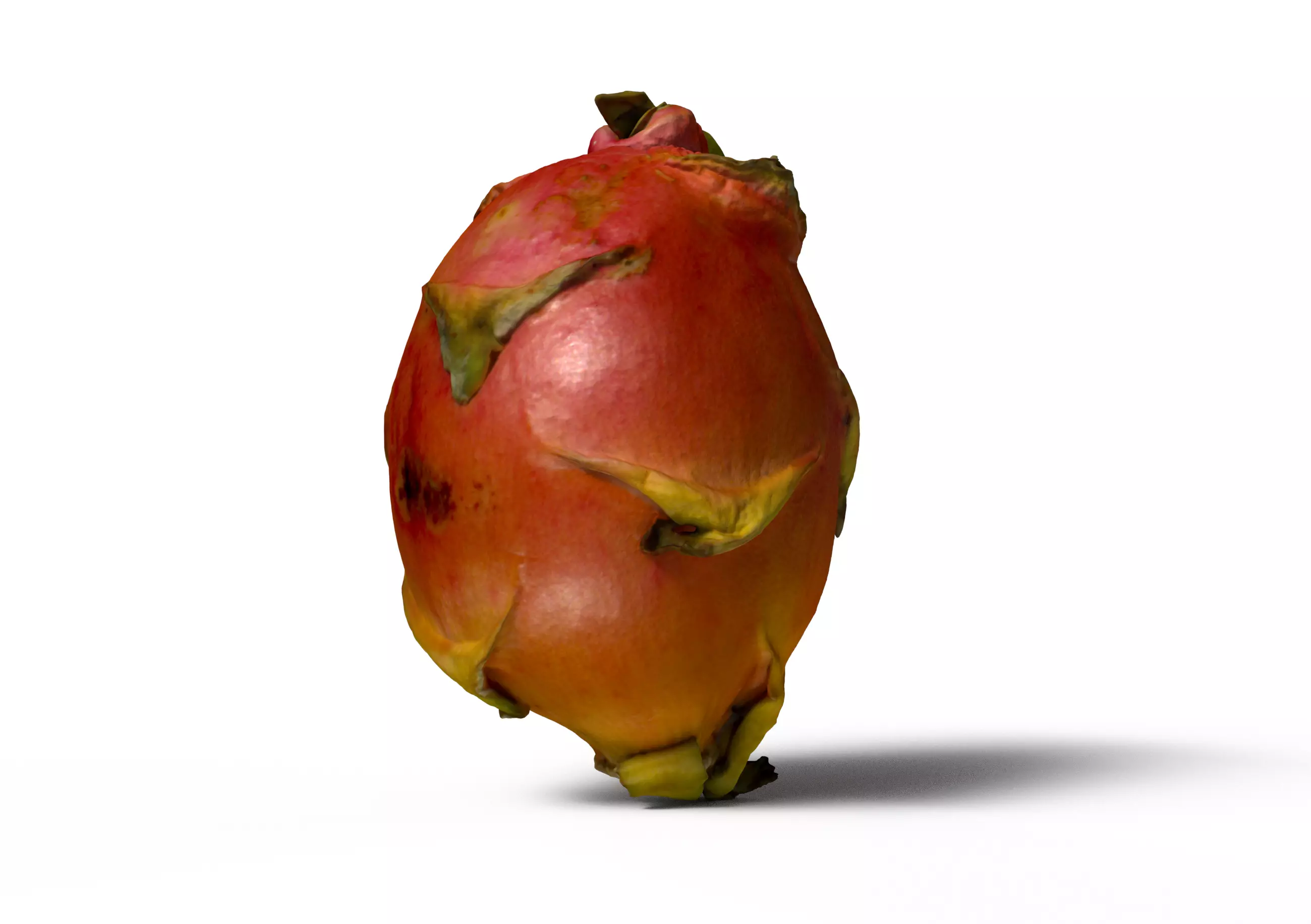 Dragonfruit whole half quarter Free 3D model_0