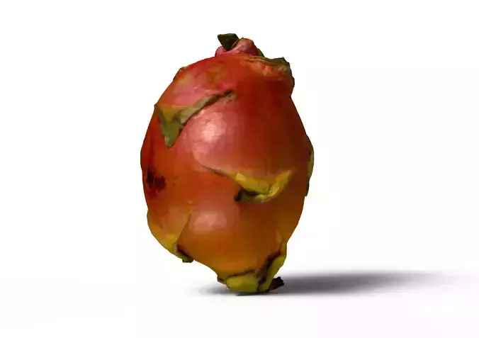 Dragonfruit whole half quarter Free 3D model