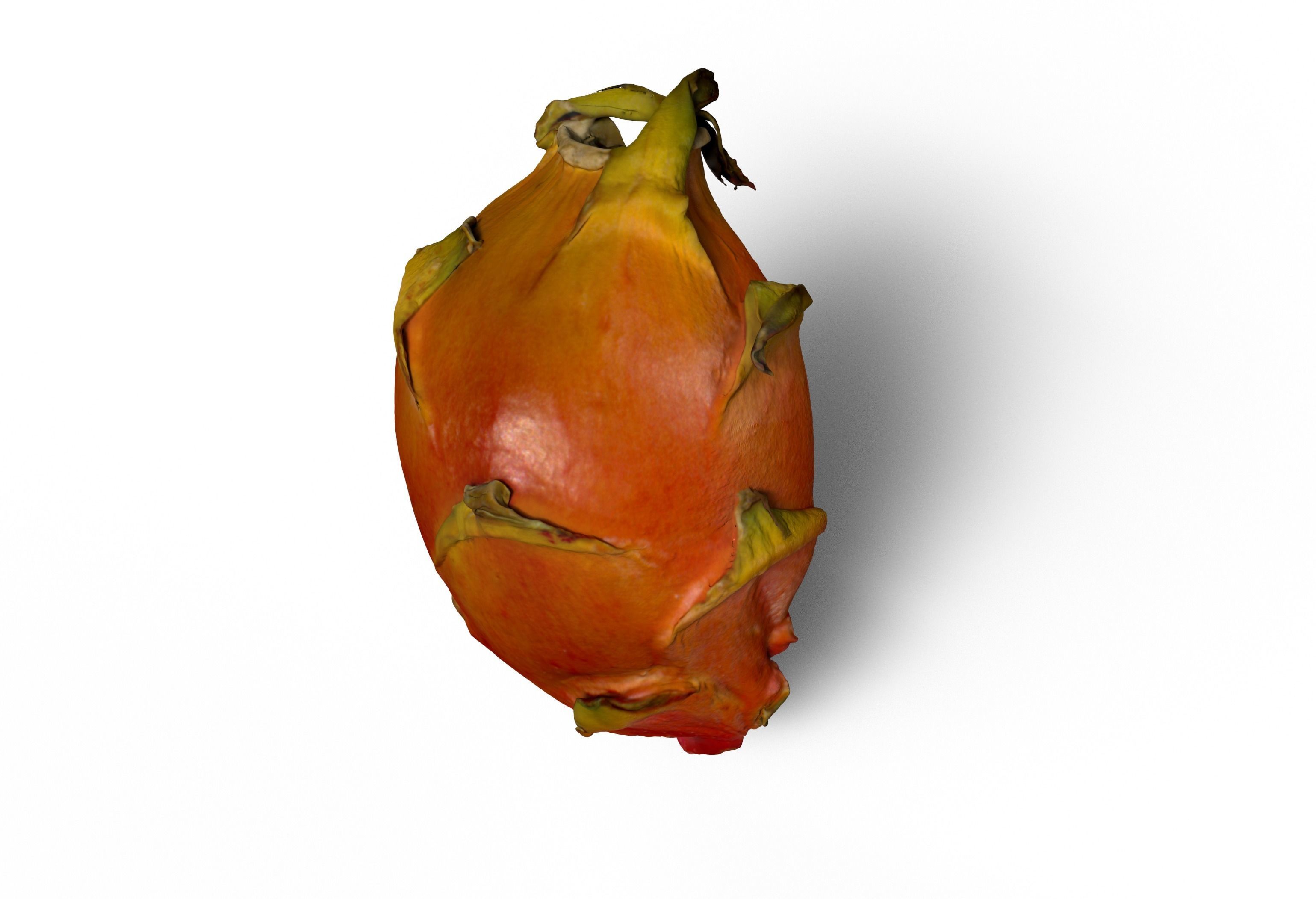 Dragonfruit whole half quarter Free 3D model_5