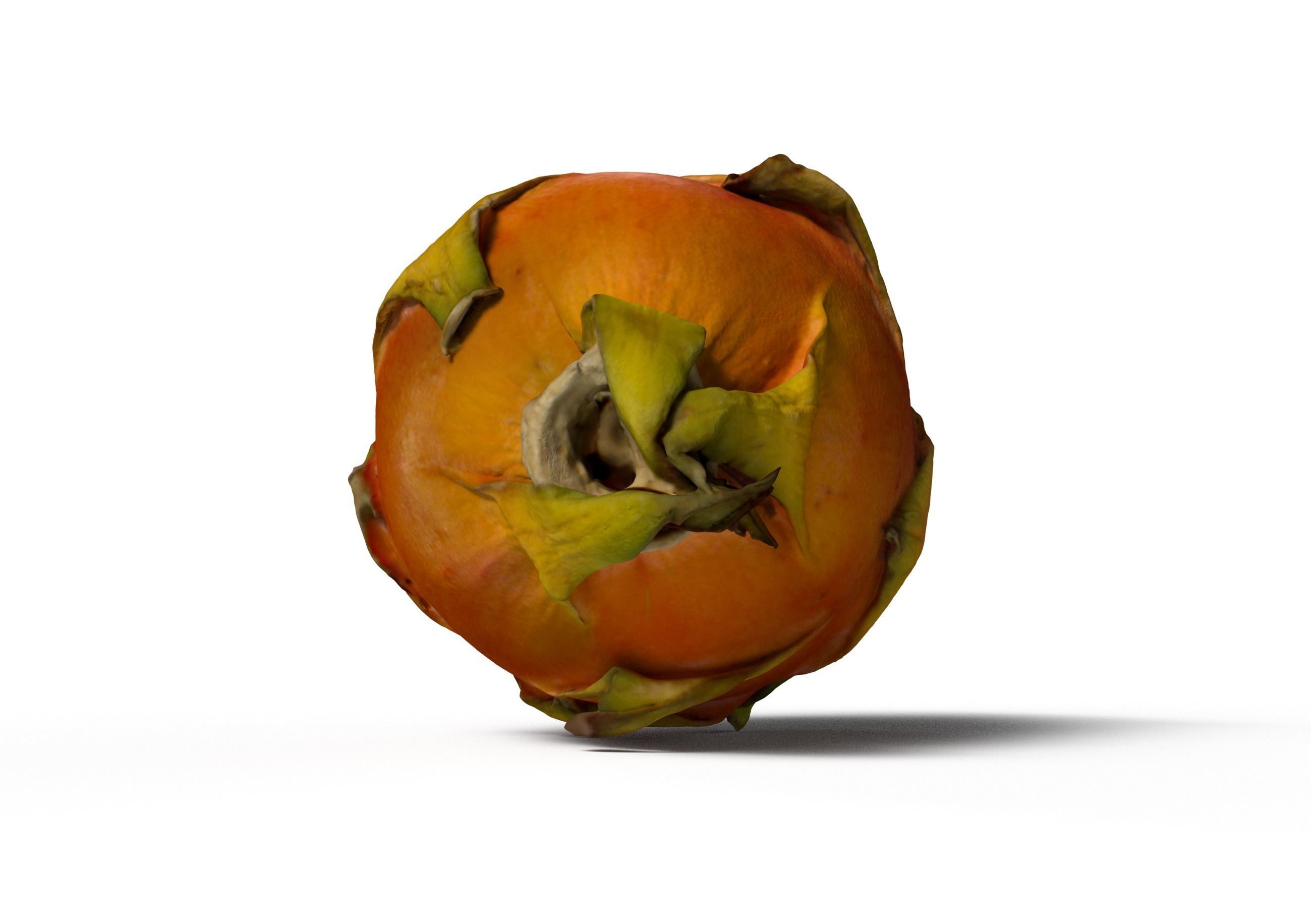 Dragonfruit whole half quarter Free 3D model_1