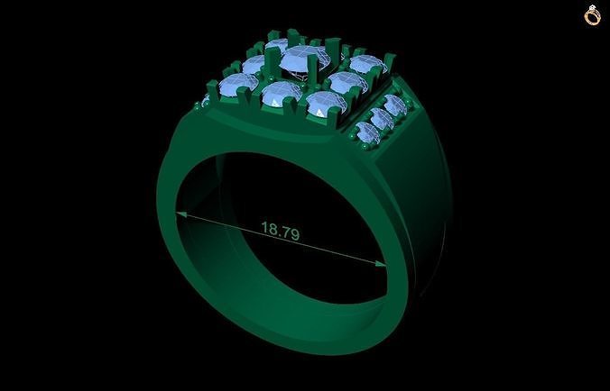 Rings 19 3D print model