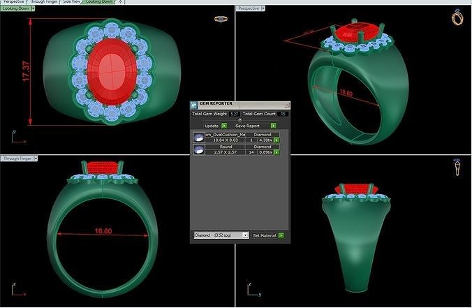 Rings 31 3D print model