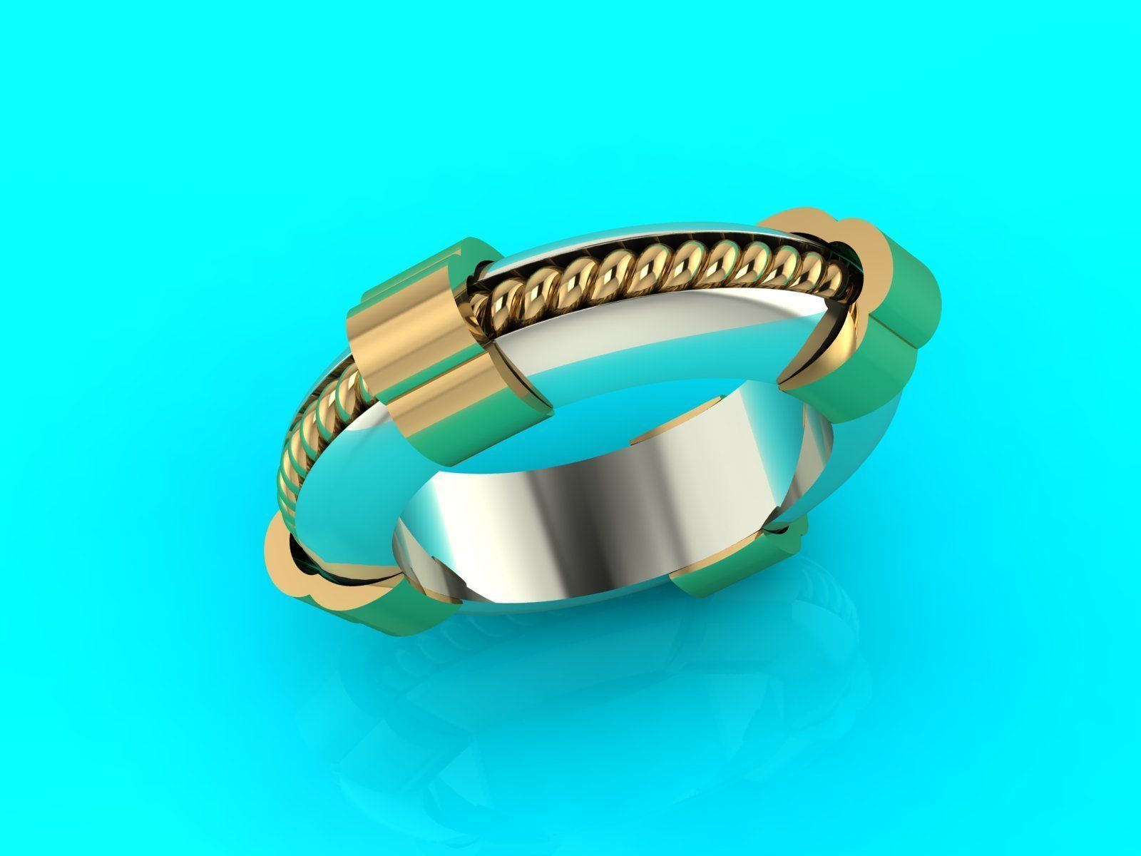Spinning rope ring for financial success 3D print model_7