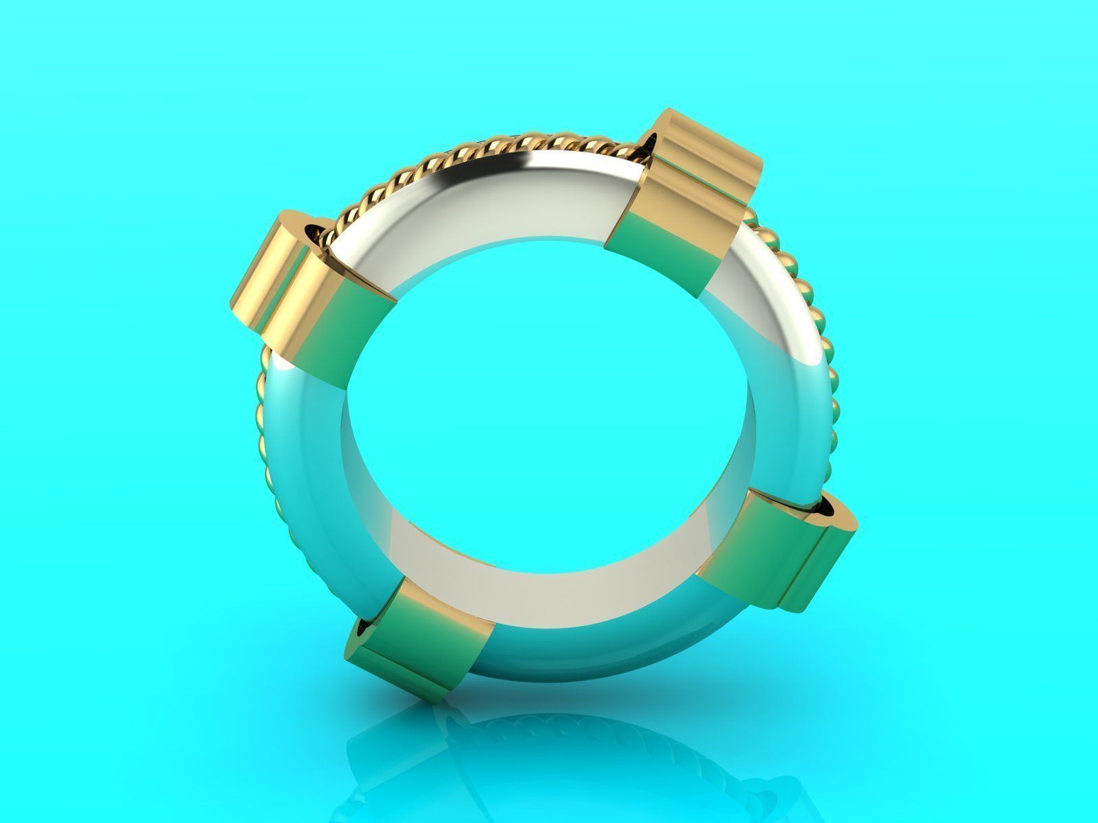 Spinning rope ring for financial success 3D print model_5