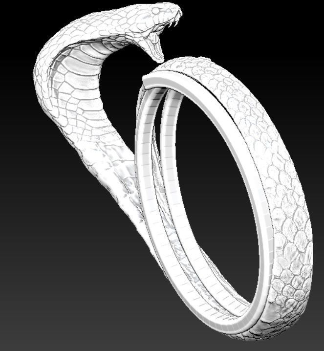 Cobra ring 3D print model_1