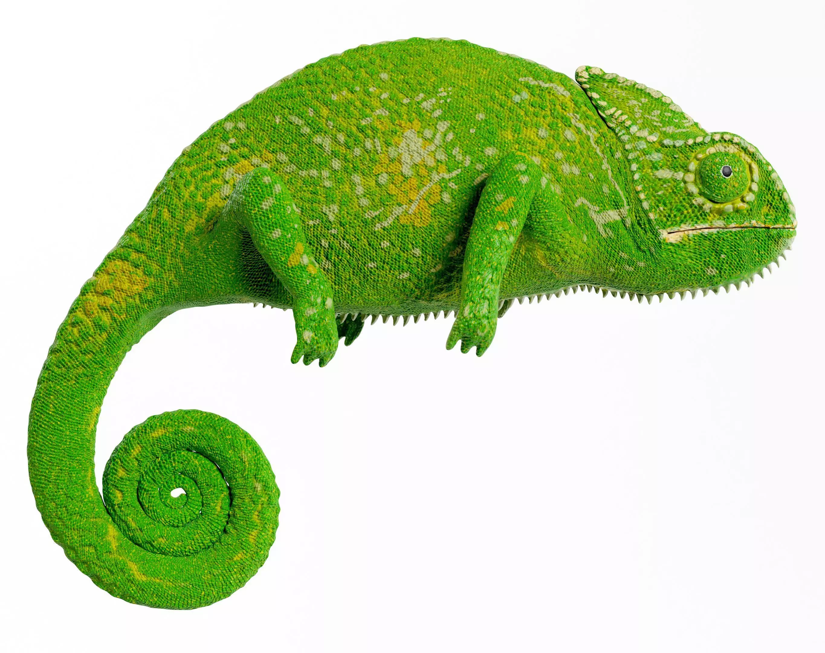 Chameleon Fully Rigged 3D model_0