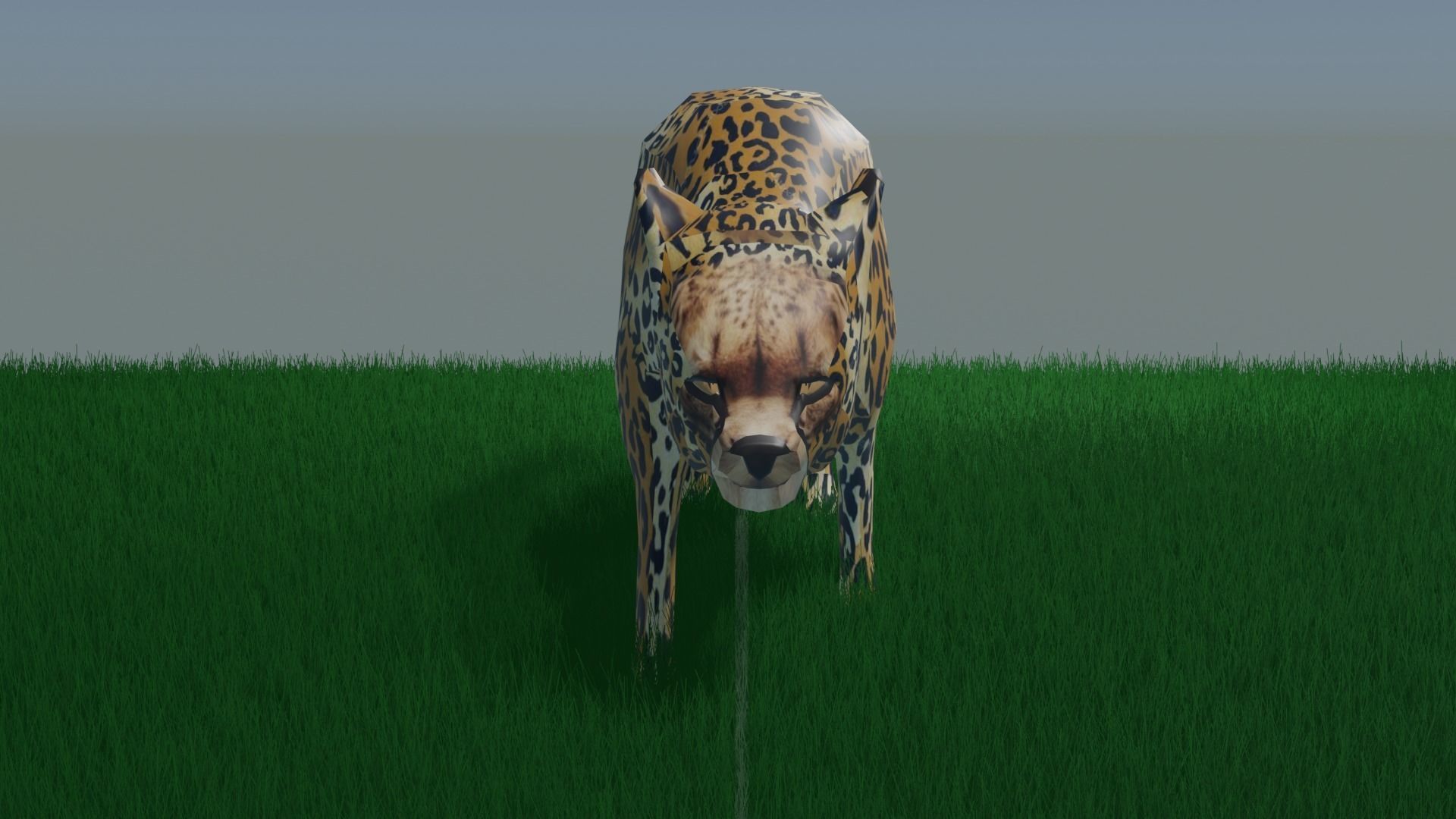 Cheetah Animated Rigged Low Poly Low-poly 3D model_2