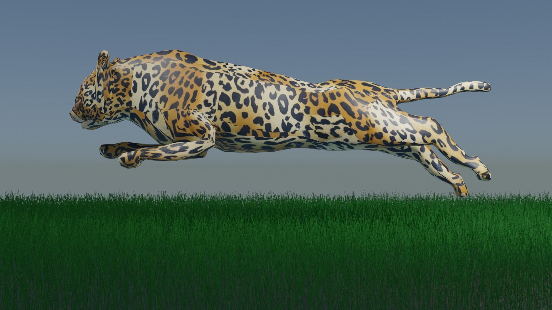 Cheetah Animated Rigged Low Poly Low-poly 3D model_4
