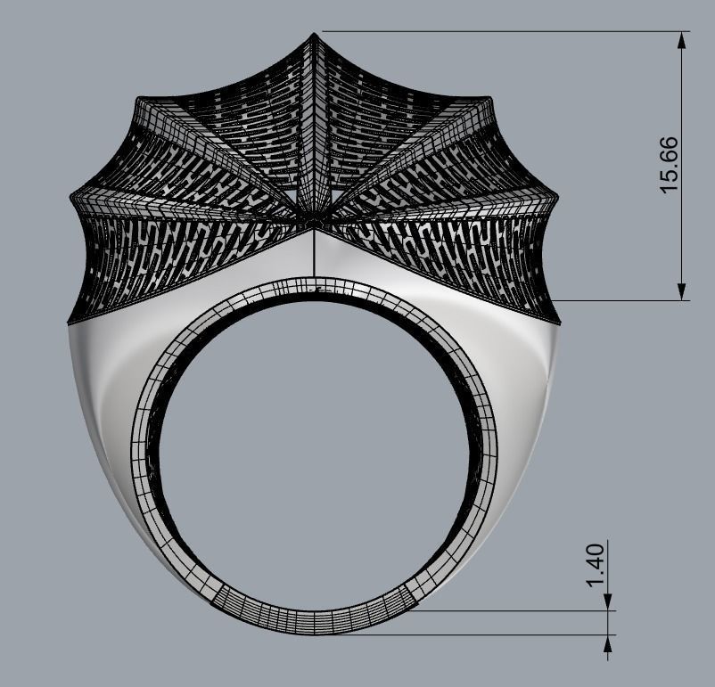 RING COLLECTION-A-R18 3D print model_3