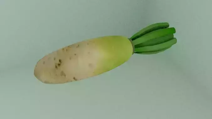 Korean Radish  Low-poly 3D model